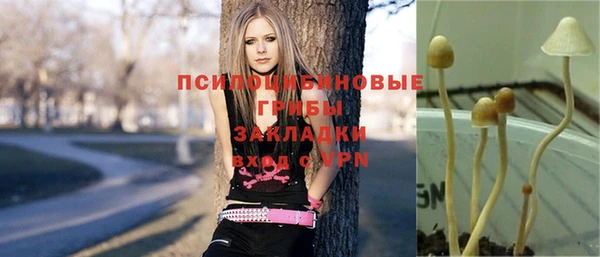 ECSTASY Армянск