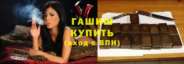 хмурый Арсеньев