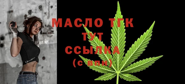 хмурый Арсеньев