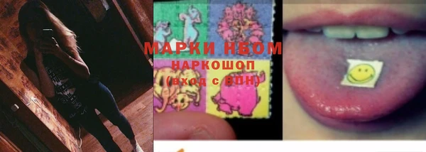 хмурый Арсеньев