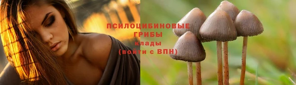 хмурый Арсеньев