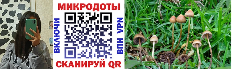 Галлюциногенные грибы MAGIC MUSHROOMS  Ковылкино 